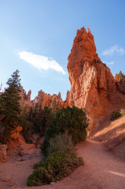 Utah 'taki Bryce Canyon Ulusal Parkı