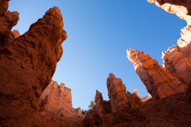 Utah 'taki Bryce Canyon Ulusal Parkı