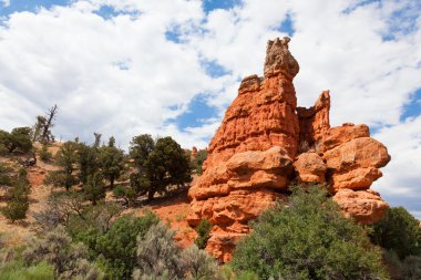 Red rock canyon Utah