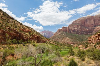 Utah 'taki Zion Ulusal Parkı