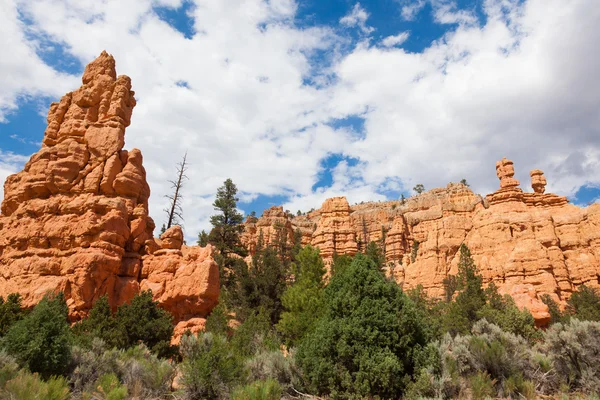 Red rock canyon i utah — Stockfoto