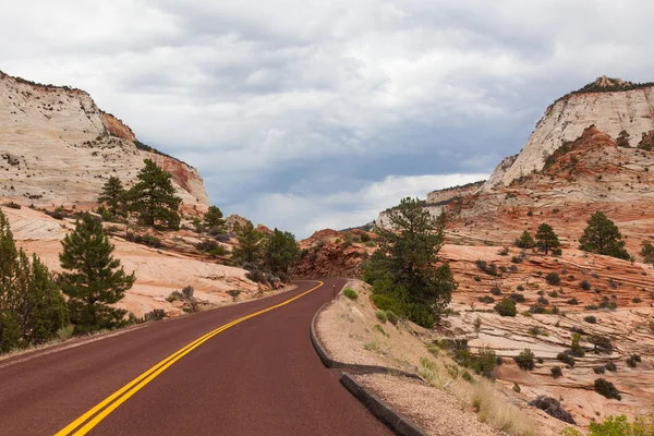 Road through Zion national park in Utah — Stock Photo, Image