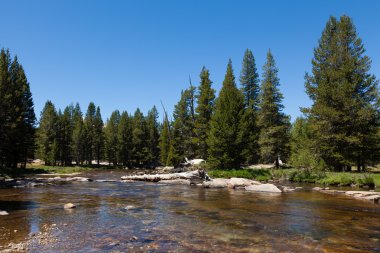 Yosemite Ulusal Parkı Kaliforniya 'da