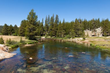 Yosemite Ulusal Parkı Kaliforniya 'da