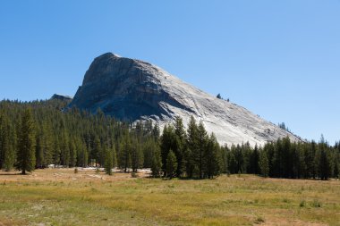 Yosemite Ulusal Parkı Kaliforniya 'da