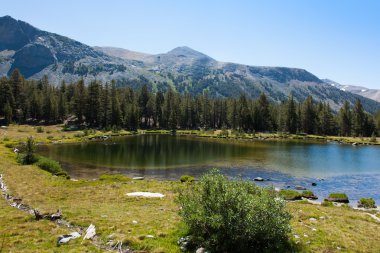 Yosemite Ulusal Parkı Kaliforniya 'da