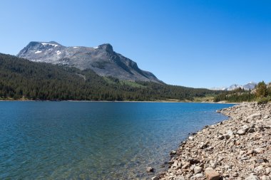 Yosemite Ulusal Parkı Kaliforniya 'da