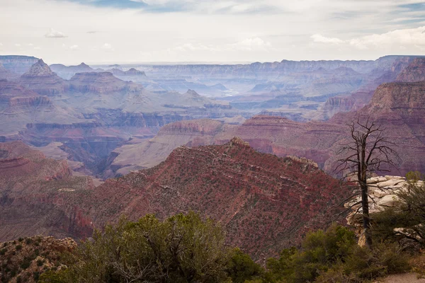 Grand Canyon National Park v Arizoně — Stock fotografie