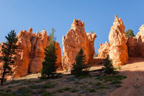 Geological formations in Bryce canyon national park in Utah — Stock Photo, Image