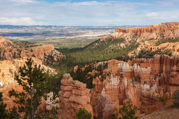 Geological formations in Bryce canyon national park in Utah — Stock Photo, Image
