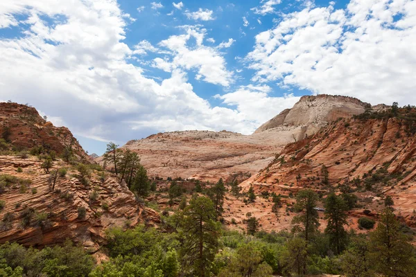 Formaciones geológicas en el parque nacional de Zion en Utah — Foto de Stock