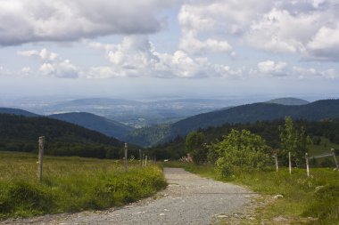 Vosges