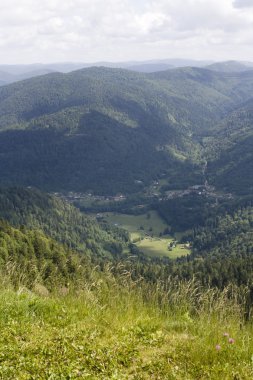 Vosges