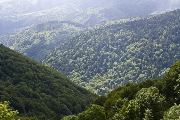 stock image Highlands