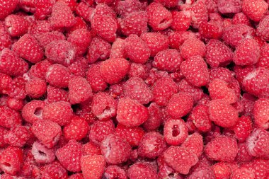 Red raspberry clipart