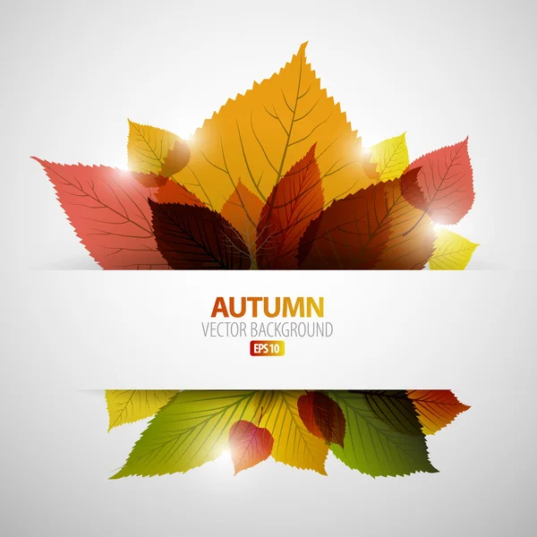 Podzimní abstraktní květinové pozadí — Stockový vektor