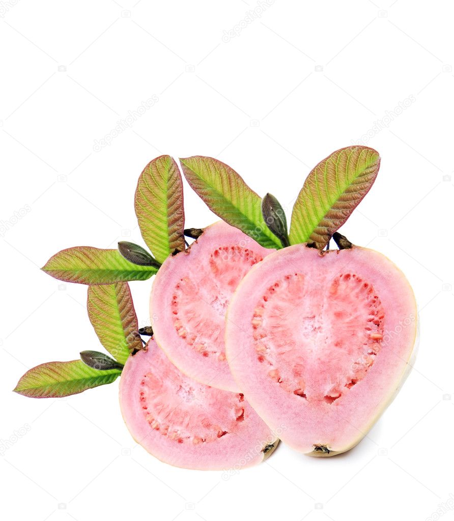 Fresh healthy pink quava fruit with leaves on a pure white background with space for text
