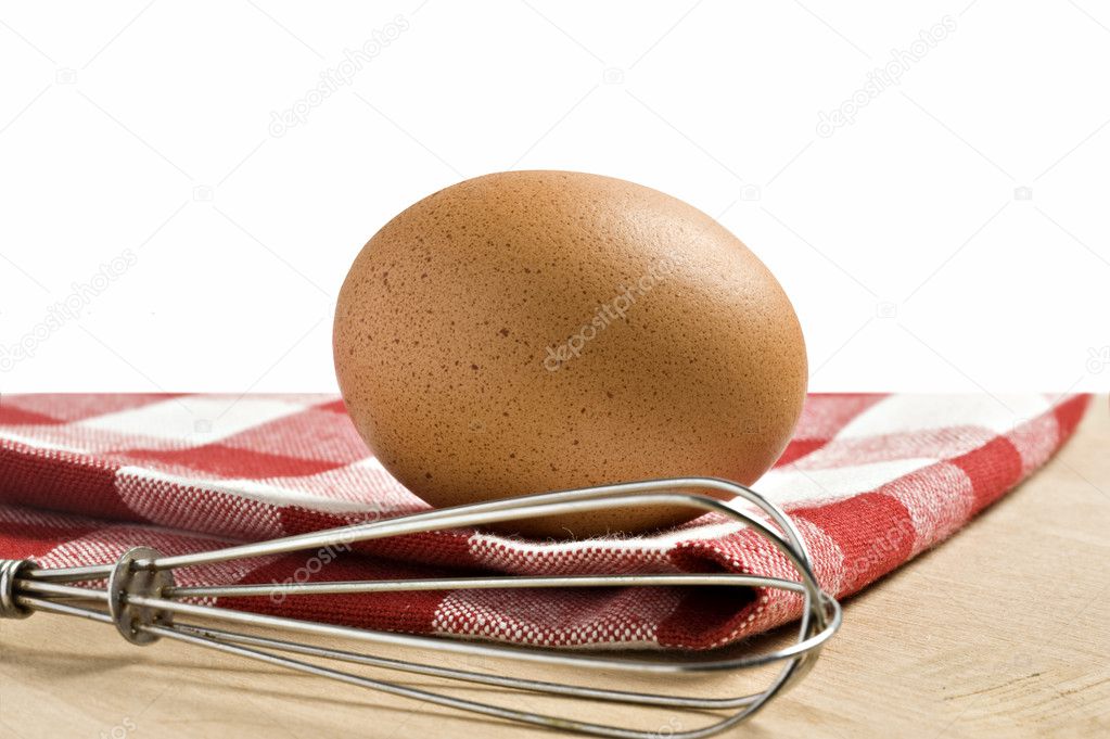 One egg on a white background with space for text