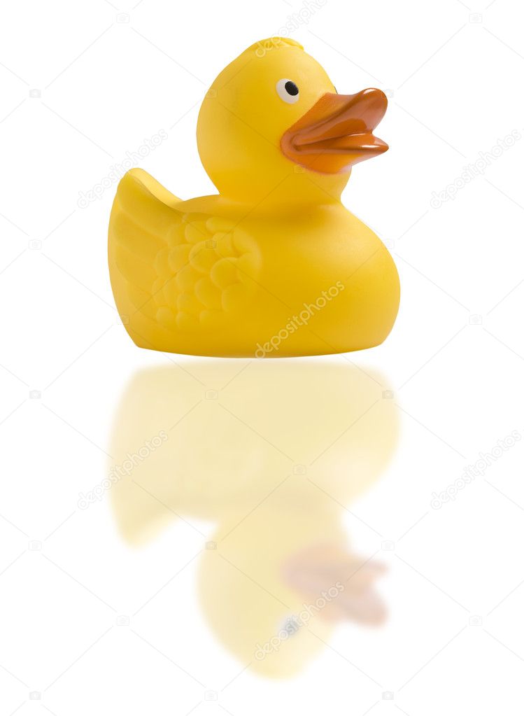 Yellow toy duck on white