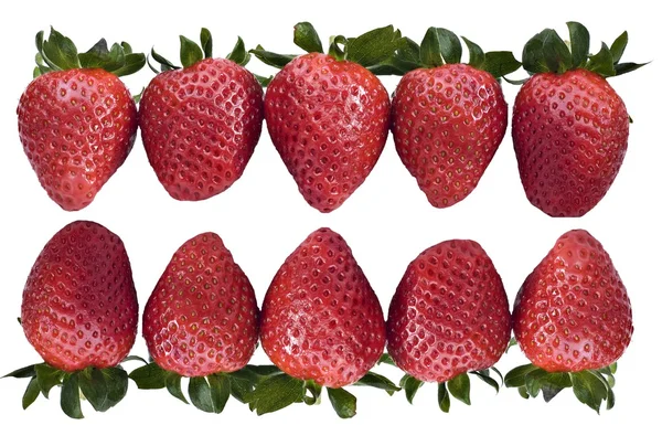 Gesunde Bio-Erdbeeren gegen blauen Himmel — Stockfoto