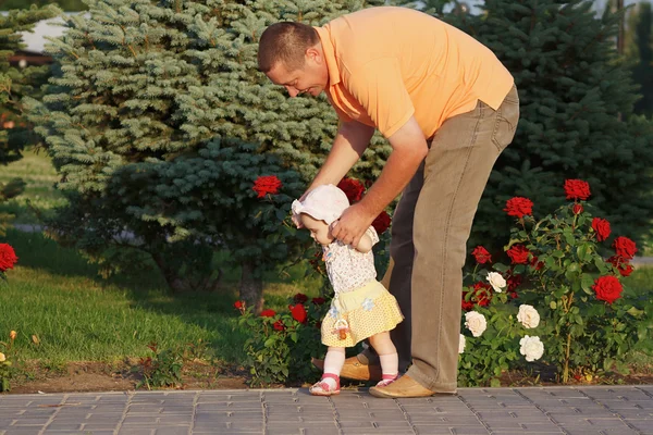 Father teaches herl little daughter to walk on the background of rose bushes