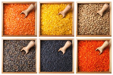 Collection of lentils in a wooden boxes clipart