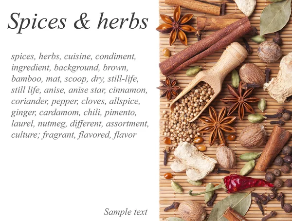 Background with spices and herbs — Stock Photo, Image