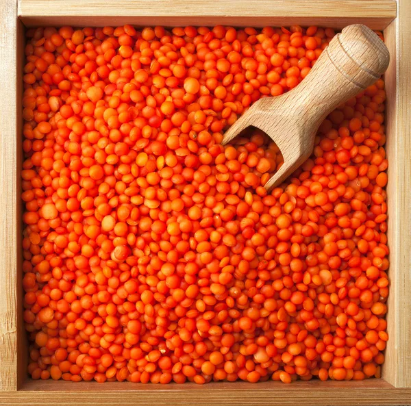 Scatola di legno piena di lenticchie rosse — Foto Stock