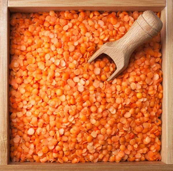 Caixa de madeira cheia de lentilhas vermelhas split — Fotografia de Stock