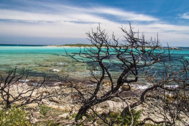 piantarella sahil yakınında bonifacio, corse, france