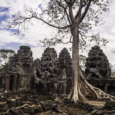 olarak ta phrom, angkor wat, Kamboçya, Güneydoğu Asya'da ağaç.