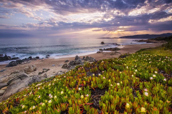 stock image Coastal landscape on Corse, France, Europe.