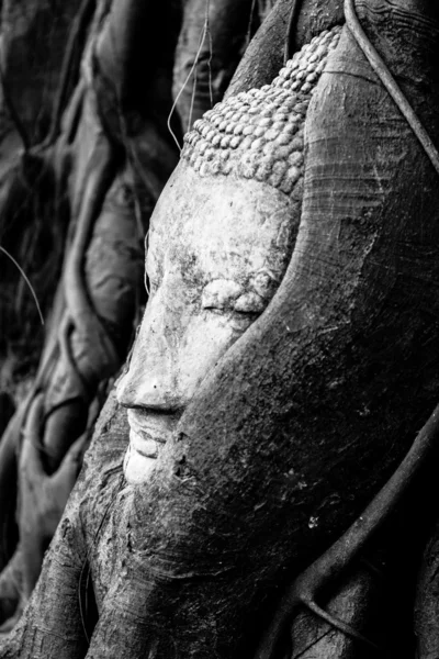 Будда Песчаника — стоковое фото