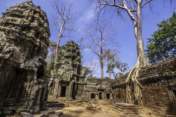 Fa ta phrom, angkor wat, kambodzsai, Dél-Kelet Ázsia. — Stock Fotó