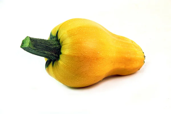 Médula vegetal amarilla . —  Fotos de Stock