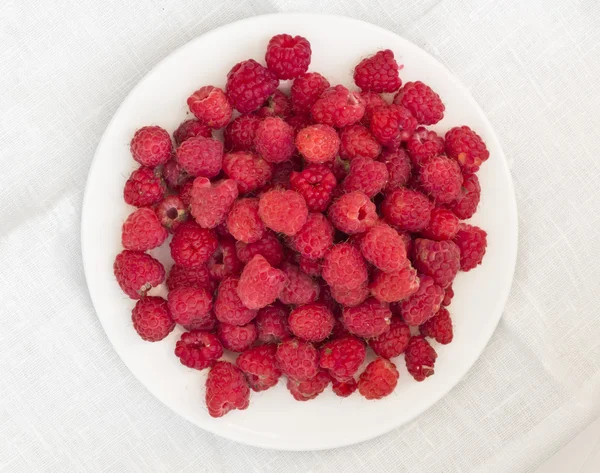 stock image Raspberries on a white plate