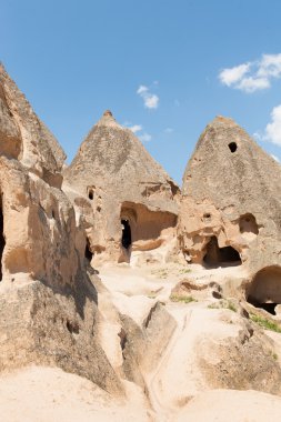 Salime Manastırı