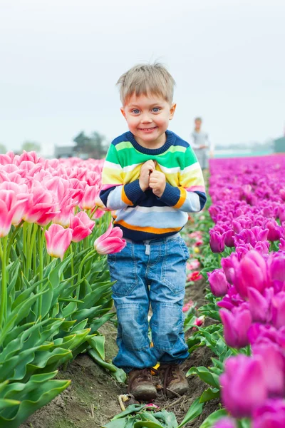Chłopiec w polu fioletowe tulipany — Zdjęcie stockowe