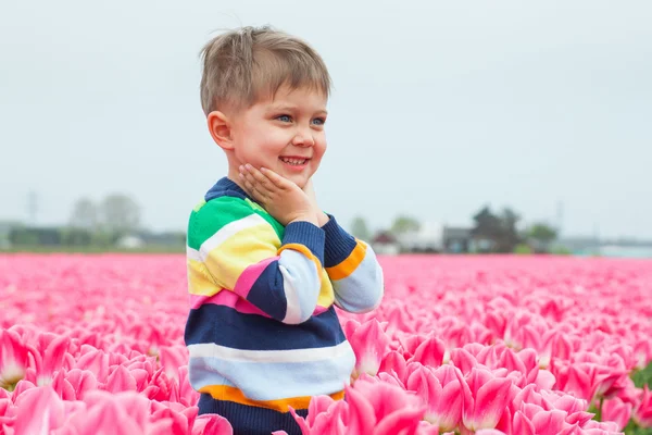 Rapaz no campo de tulipas roxas — Fotografia de Stock