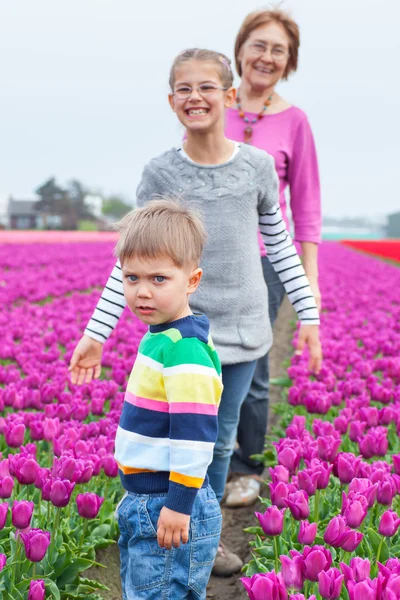 Chłopiec z rodziną w polu fioletowe tulipany — Zdjęcie stockowe