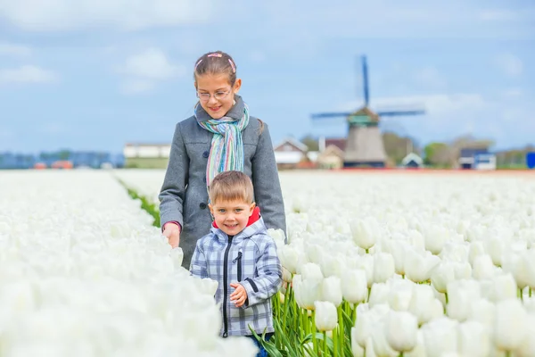 Kind in het veld paarse tulpen — Stockfoto