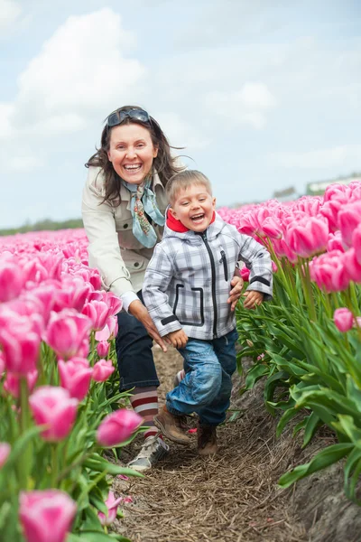 Niño con familia en el campo de tulipanes púrpura —  Fotos de Stock