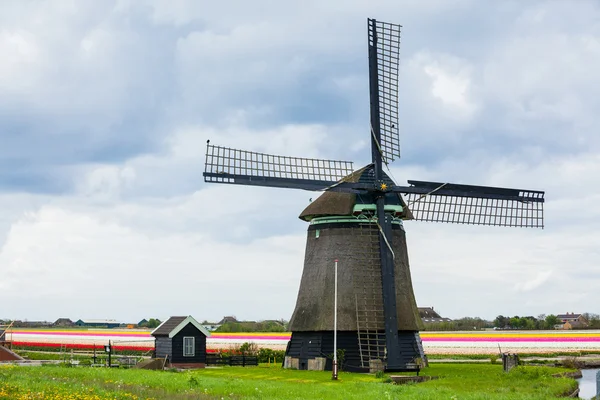 stock image Dutch windmill