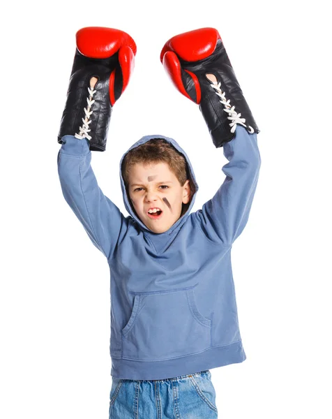 Cute bokser — Zdjęcie stockowe