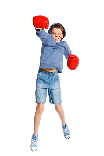 Cute boxer — Stock Photo, Image