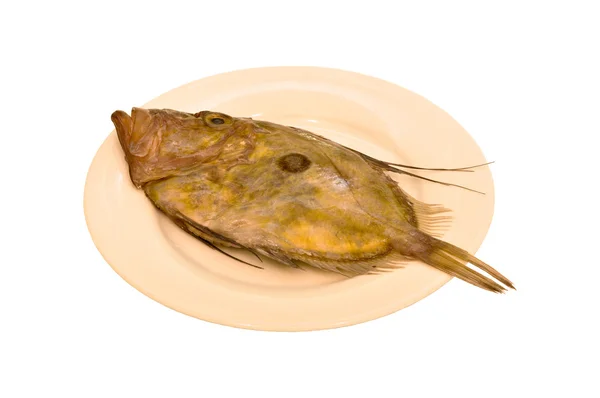 Pesce fresco piatto — Foto Stock