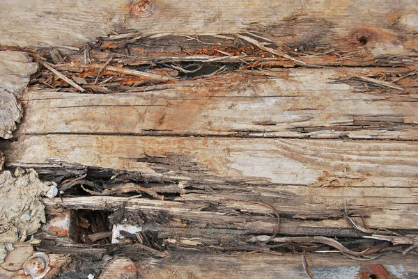 Tecido de madeira deteriorado — Fotografia de Stock