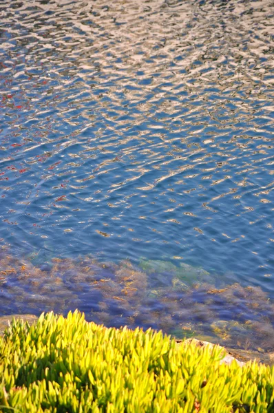잔잔 한 바다 — 스톡 사진
