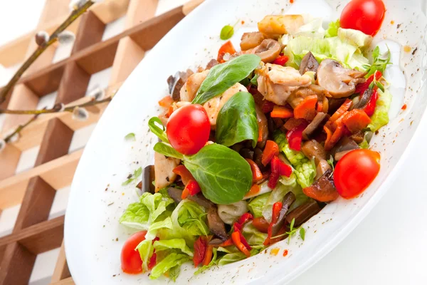 Mantar ve Tavuk salatası — Stok fotoğraf