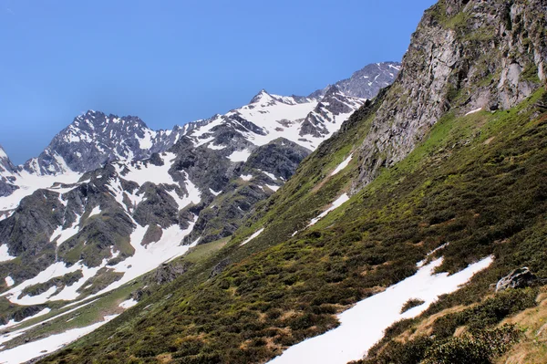 Alplerde bahar — Stok fotoğraf